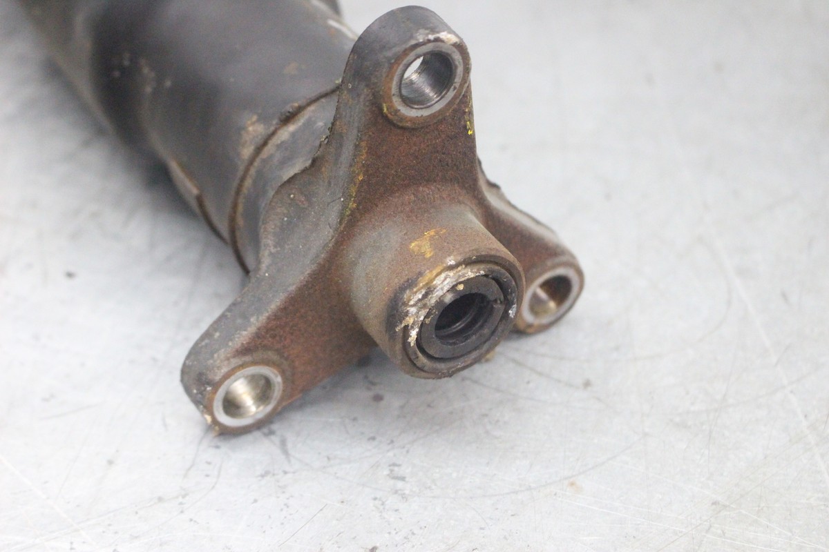 ぶー Lovejoy 61447 Size CJ 19 Curved Jaw Coupling Spider