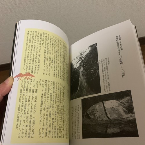 Bushi KATANA Yagyu Jubei A truth to communicate to modern people #68 - Picture 11 of 17