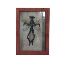 Mysterious Ghost Specimen Photo Frame Resin Fairy Skeleton Home Hanging