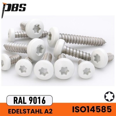 Blechschrauben Edelstahl Weiß | ISO14585 / DIN7504 Linsenkopf | Torx