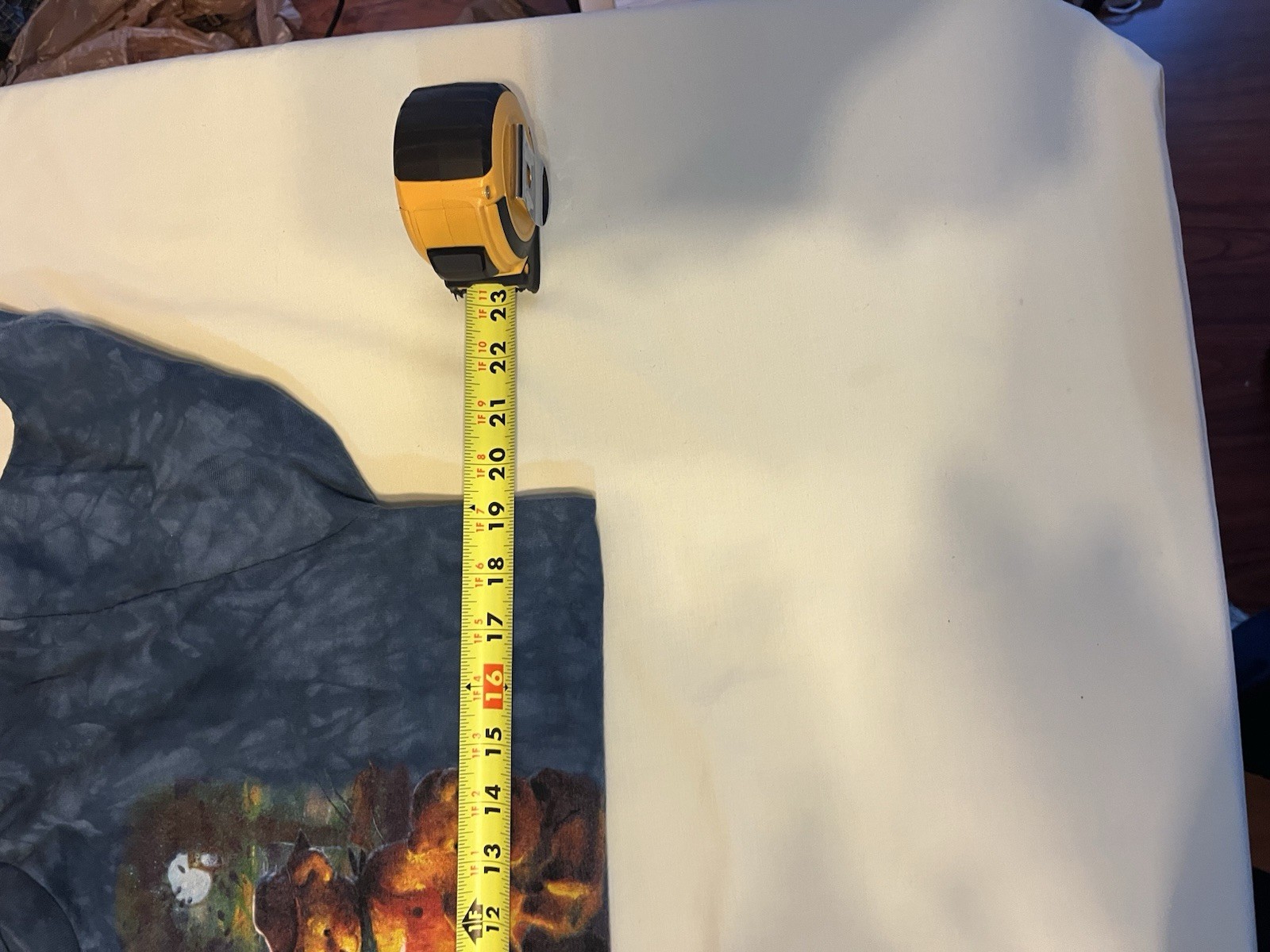 Picture 11 of 13