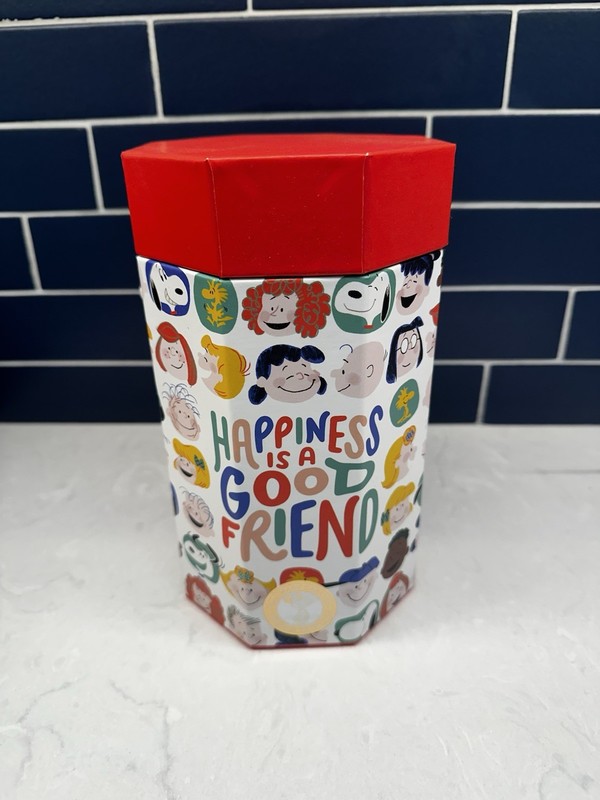 Peanuts Happiness Is A Good Friend 550-Piece Puzzle - Red Box NEW