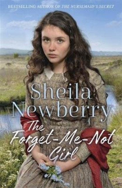 The Forget-Me-Not Girl by Sheila Everett (Paperback Book)