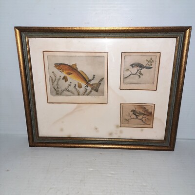 Vintage Framed Original Etchings by Benson B. Moore Fish & Birds