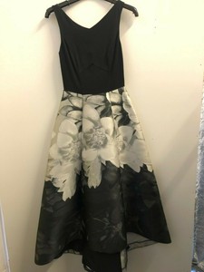 coast larrison printed dress