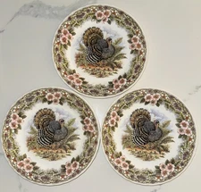 Queens Thanksgiving Turkey Dinner Plates, Set of 3. Myott Factory. 10". New