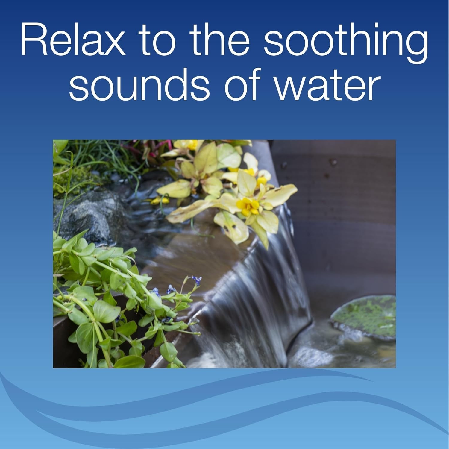 Slide 5