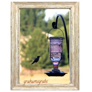 More Birds Glass Hummingbird Feeder 77 Vintage Antique Jewel
