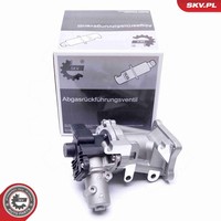 Esen Skv Agr Ventil 14SKV171 12V FüR Ford Galaxy 2 WA6 Max Mondeo 4 BA7 Turnier