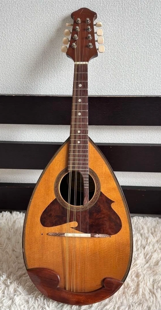 Suzuki Mandolins for sale - eBay