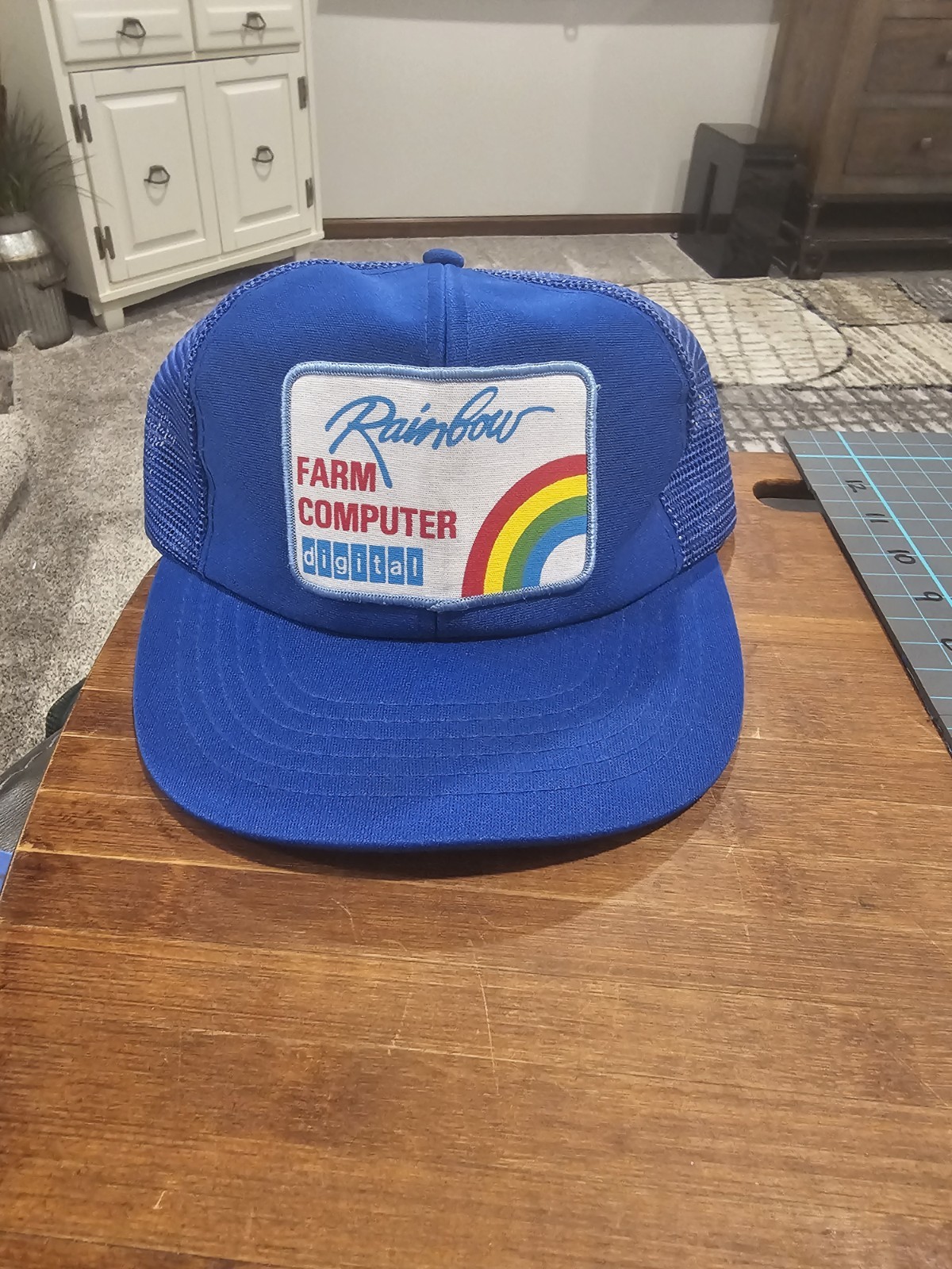 Vintage Rainbow Farm Computer Patch Hat Cap Snapb… - image 1
