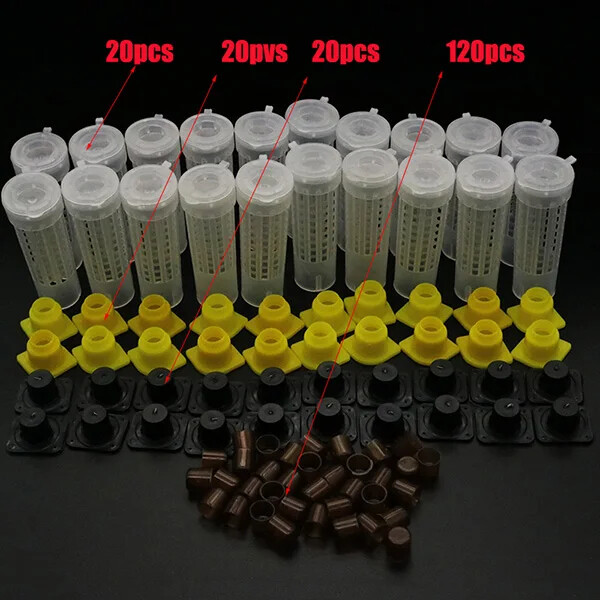 Bee Rearing System Box Plastic Cup Cell Protection Cover Cage Apiculture Kit