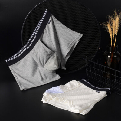 Modal Thread Boxershorts Herren Boxershorts Einfache U Pouch Unterwäsche L-4XL