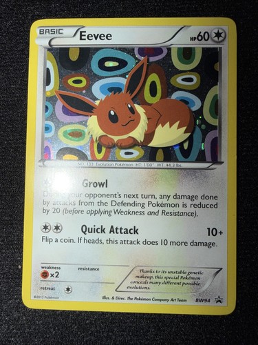 Pokémon TCG Eevee BW94 Holo Black and White 2013 Black Star Promo LP
