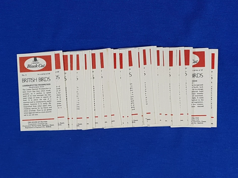 Carreras Black Cat Cigarette Cards BRITISH BIRDS Full set of 50 loose - Image 4 of 4