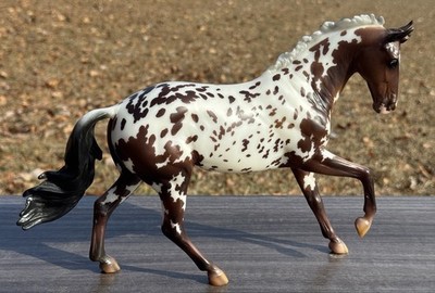 Breyer BreyerFest 2021 Dani Danash s Northern Tempest Appaloosa True North