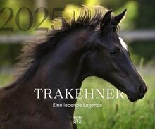 Trakehner 2025: Eine lebende Legende von Benevento | Buch | Zustand sehr gut