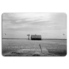 Rustic Serenity: Cabin in the Wheat Fields