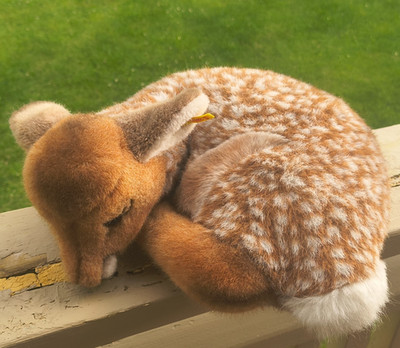Vintage Steiff Lorli Fawn Laying Down Spotted Deer Ear Tag 1831/38 Curled Up