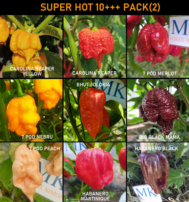SUPER HOT 10+++ , 9 chiles mas picantes del mundo,90 semillas, pack(2)