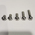 1/4" BSF stainless steel round head slotted machine screws. Vintage motorcycles.