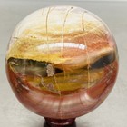 Natural Petrified Wood Polished Stone Quartz Crystal Sphere Ball Healing 1480G — photo 6