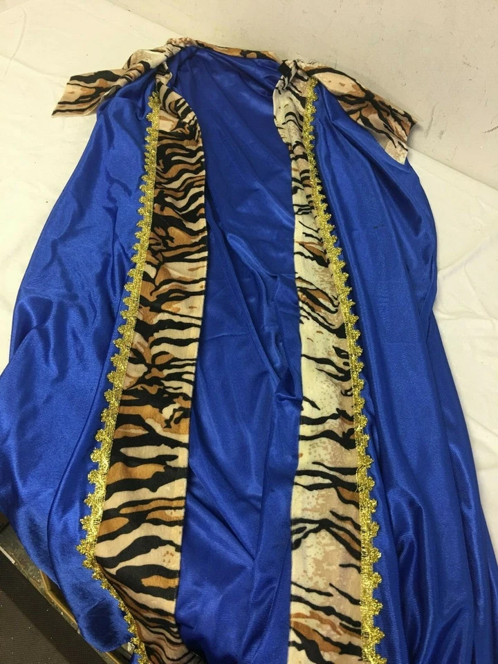 Disfraz de capa y vestido azul para niños grande 12-14 Foto 4 de 4