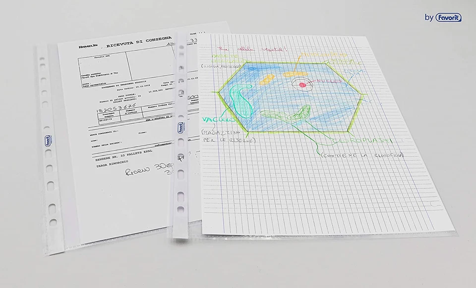 Buste Trasparenti A4, 100 Pz Finitura Buccia D'Arancia, Formato Interno 22x30 Cm - Immagine 2 di 4