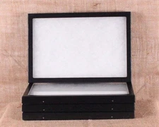 Collector's Display Case: 8 x 12 x 3/4" (Riker Type) - Package of 4