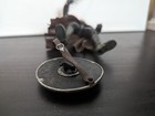 Foto 4 di 5