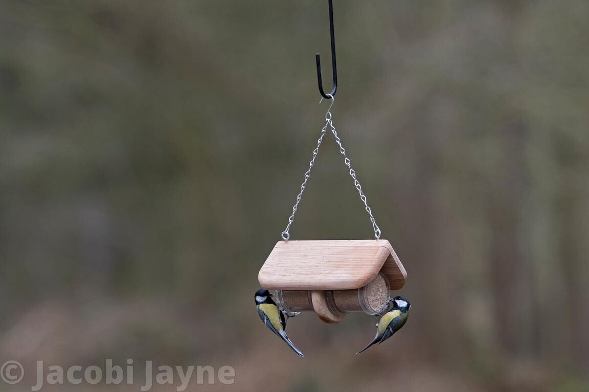 Bild 10 von 14