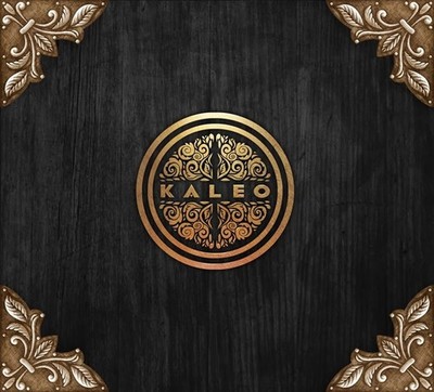 Kaleo - Kaleo CD - 2013 first album on cd - Blues Rock
