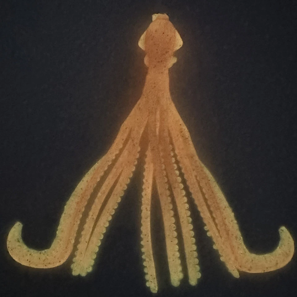 Fishing Baits Mini Octopus Lures Octopus Fishing Baits Bite Lures with for Night - Bild 3 von 4