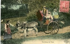 Carte Un coup de vent Attelage d'âne ou mulet Ecrit à Chasselay