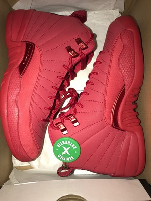 jordan retro 12 youth