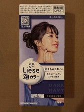 Kao LIESE Soft Creamy Bubble Foam Hair Color Prettia Dying Kit  DARK NAVY