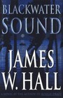 Blackwater Sound: A Novel - hardcover, James W Hall, 9780312203849