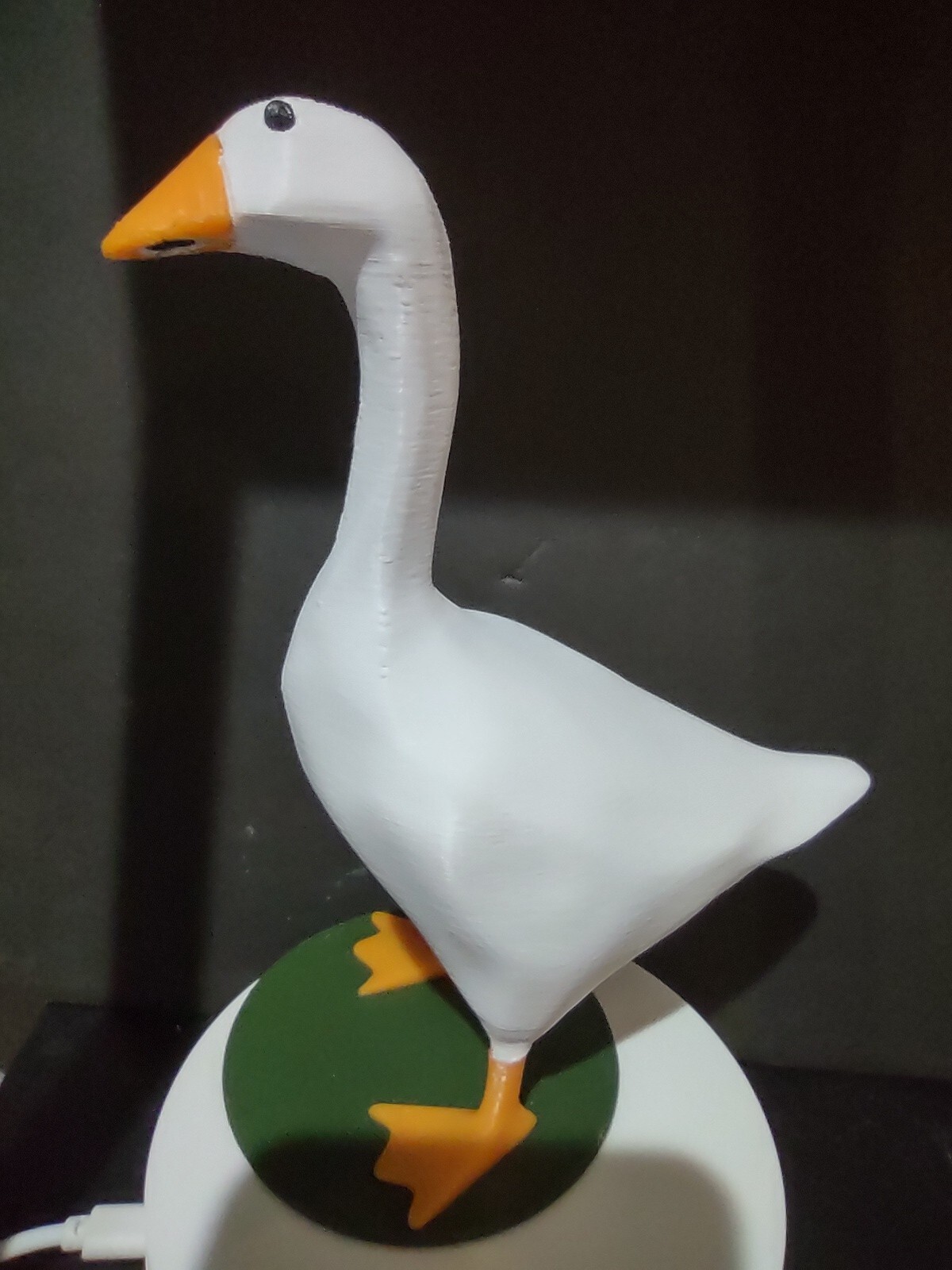 Picture 5 of 14