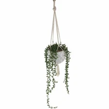 Flora Bunda 13" L Artificial Plant String of Pearl Macrame Hanging Ceramic Pot