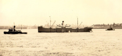 1932 S.S. Falcon Atlantic & Caribbean Steamship Navigation Co. Real Photo SP1B