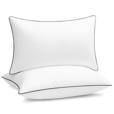 2x20 Pillow Inserts Set of 2, Fluffy Overfilled Down 12x20 Inch Pack of 2 1
