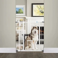 Carlson Extra Tall Walk Through Pet Gate with Small Pet Door and Extension Kit