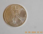 1996 American Silver Eagle, .999 Silver, No Mint Mark