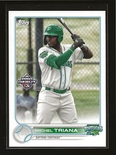 2022 Topps Pro Debut Base Card Michel Triana Daytona Tortugas #PD-37