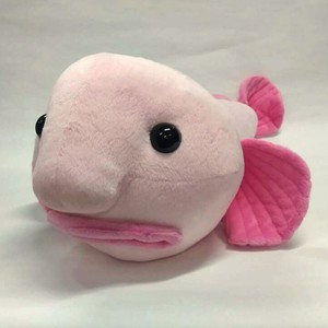 Blobfish the Ugliest Soft Plush cute & realistic | eBay