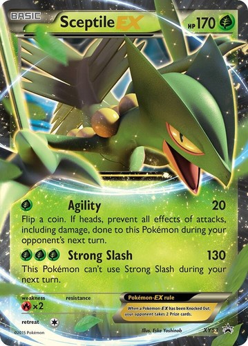 Sceptile EX Holo Promo XY Promos XY53 LP