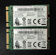 LOT OF 2 Union Memory AM611 256GB PCIe GEN3 NVMe M.2 SSD RPJTJ256MED1OWX 00UP731