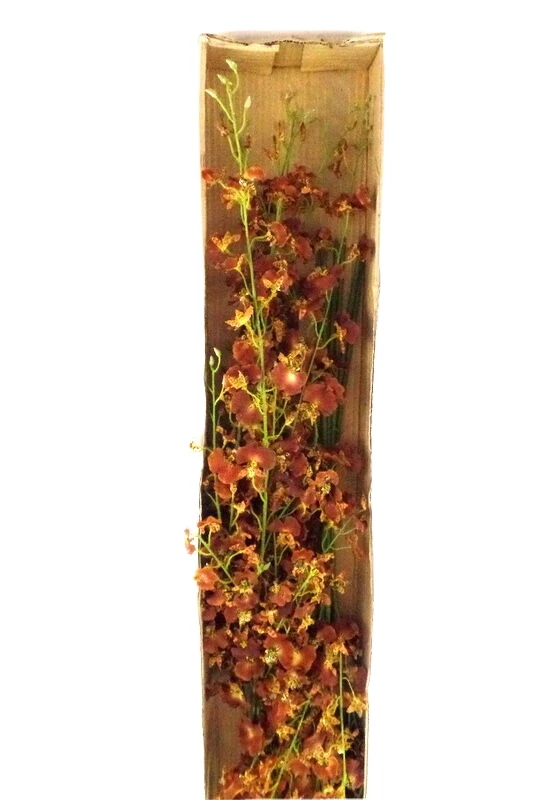künstliche Seidenblumen Orchideen gelb / braun 4 Zweige 100 Cm Dekoration Top