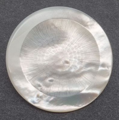 Weißer Perlmutt Ösen-Knopf 25-45 mm Ziseliert / Mother-of-Pearl Button Nacre E61