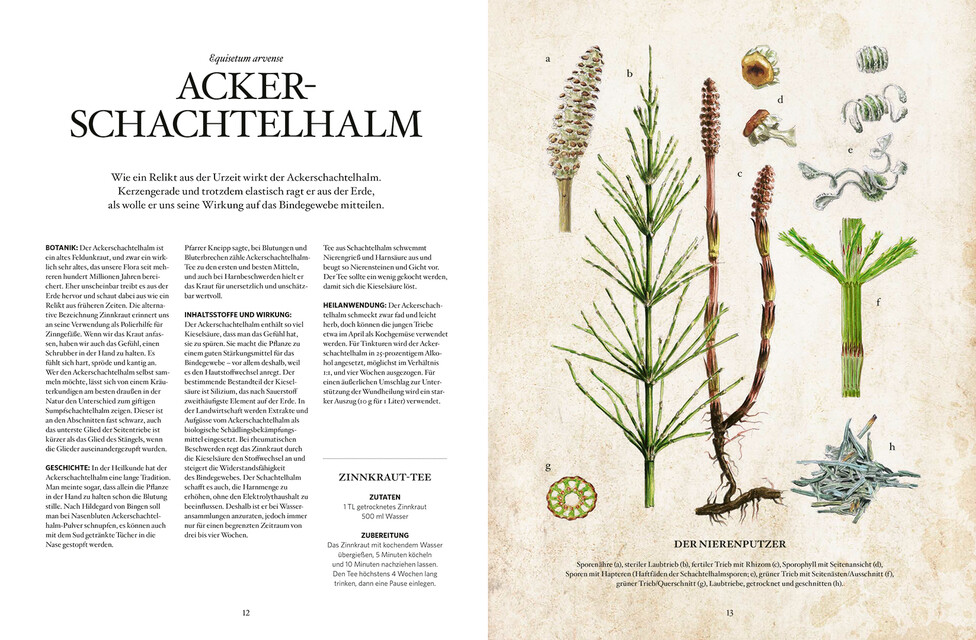 Thumbnail - Die Natur-apotheke Karin Buchart